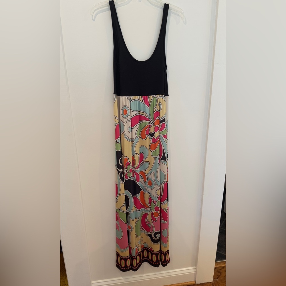 Maxi dress. Fitted on top-flowy on bottom. Worn a couple times.